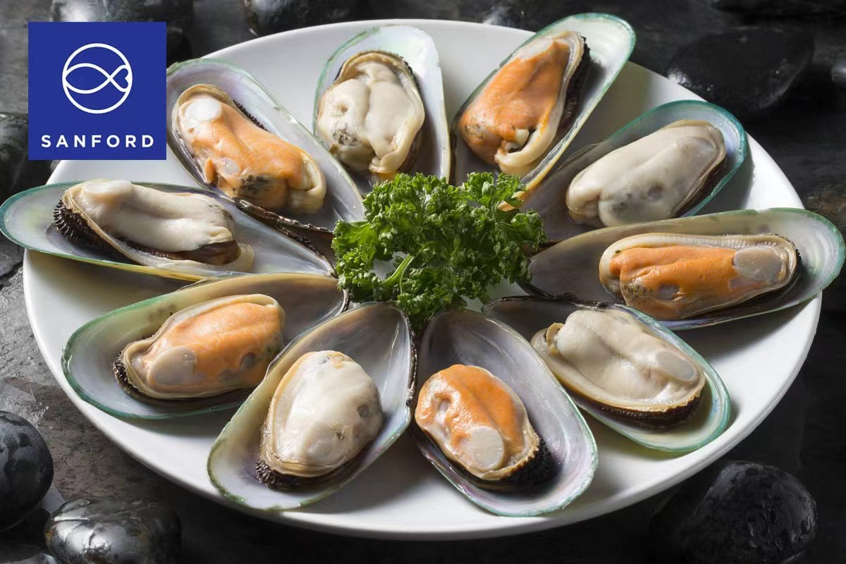 半壳淡菜（青口贝）